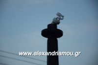 alexandriamou_kolumvitirio120021