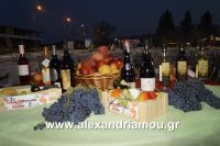 alexandriamou_kopano20160010