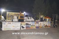 alexandriamou_kopano20160037