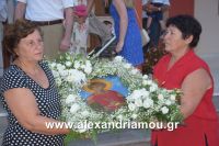 alexandriamou_perifora_korifi0023
