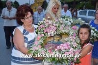 alexandriamou_perifora_korifi0029