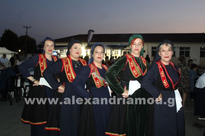 www.alexandriamou.gr_korifi_pita14.6.25IMG_2011