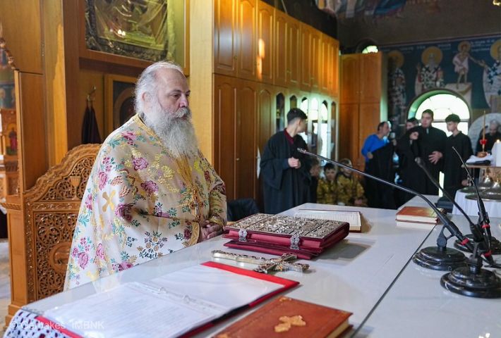 54927078338_607eb59cab_c