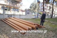 alexandriamou_apoxeteytiko_sxoleion0014