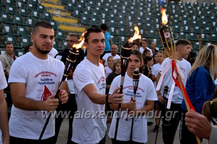 alexandriamou_lampad2022DSC_0452