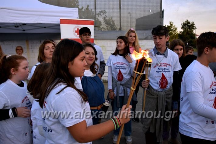 alexandriamou_lampad2022DSC_0455