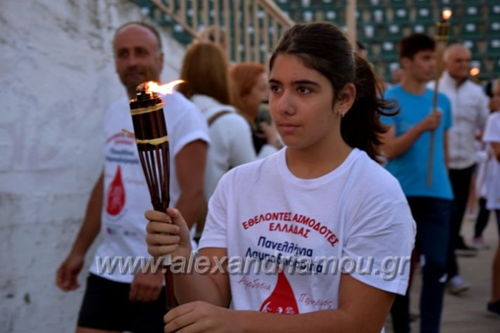 alexandriamou_lampad2022DSC_0459