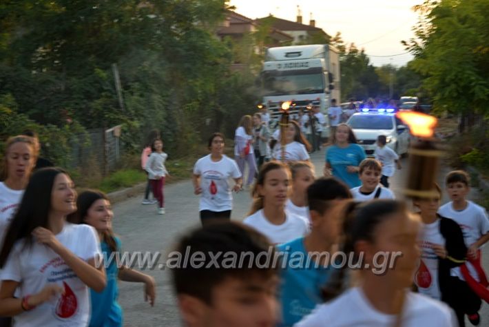 alexandriamou_lampad2022DSC_0498