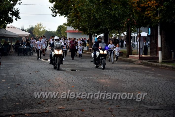 alexandriamou.gr_lampadiodromia21DSC_0666