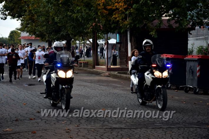 alexandriamou.gr_lampadiodromia21DSC_0668