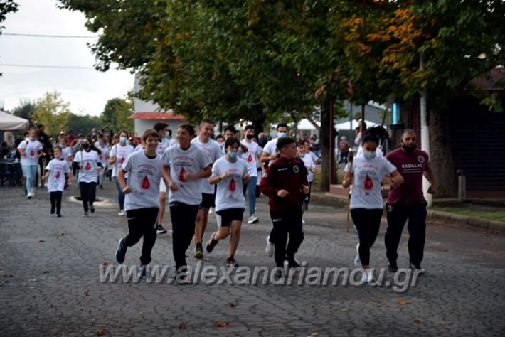 alexandriamou.gr_lampadiodromia21DSC_0669