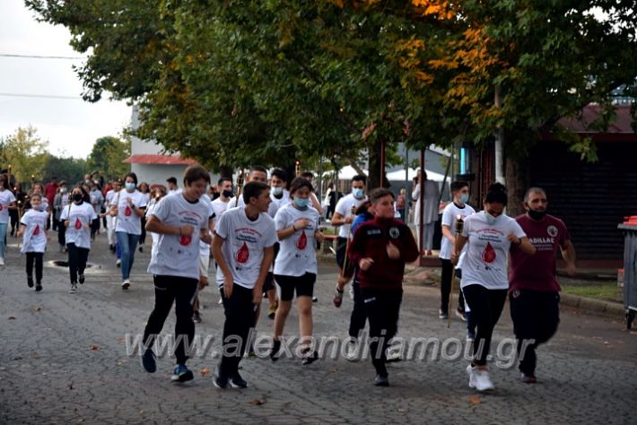 alexandriamou.gr_lampadiodromia21DSC_0670
