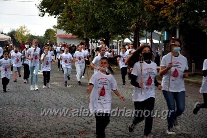 alexandriamou.gr_lampadiodromia21DSC_0675