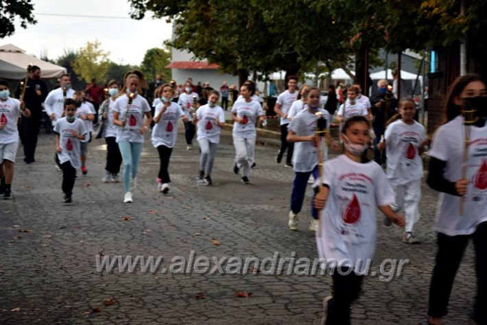 alexandriamou.gr_lampadiodromia21DSC_0676