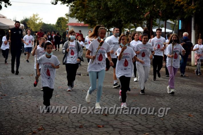 alexandriamou.gr_lampadiodromia21DSC_0678