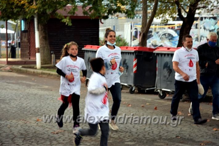 alexandriamou.gr_lampadiodromia21DSC_0687