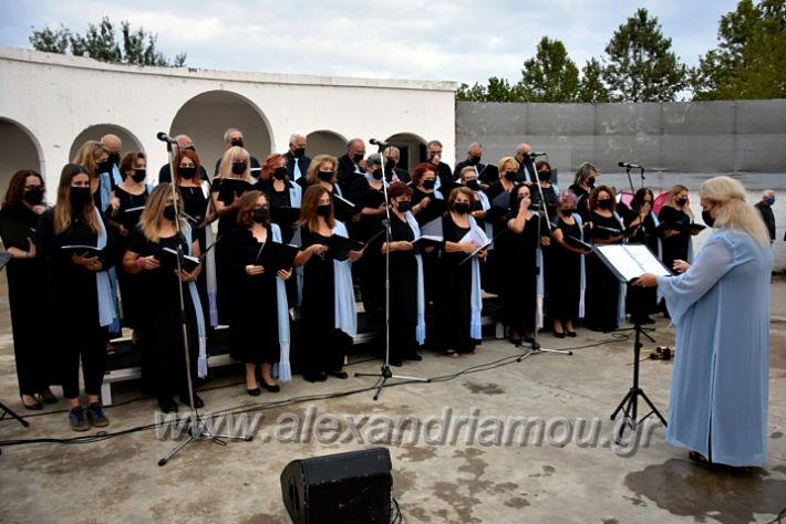 alexandriamou.gr_lampadiodromia21DSC_0766