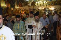 alexandriamou_lianovergi_perifora0025