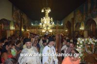 alexandriamou_lianovergi_perifora0027