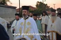 alexandriamou_lianovergi_perifora0038