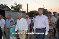 alexandriamou_lianovergi_perifora0043