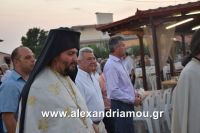 alexandriamou_lianovergi_perifora0072