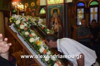alexandriamou_lianovergi_perifora0098