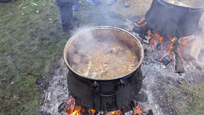 PXL_20260101_104211349.MP