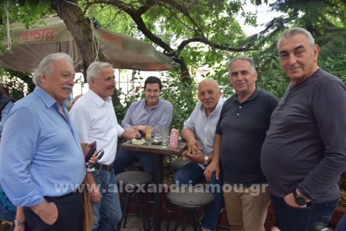 www.alexandriamou.gr_maniatis_alexandria24DSC_0052