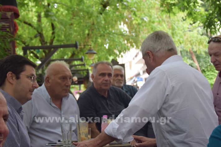 www.alexandriamou.gr_maniatis_alexandria24DSC_0060