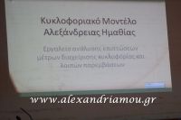 alexandriamou_dimotiko_sumboulio0006