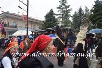 alexandriamou_karnavali_melikh2016127