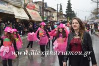 alexandriamou_karnavali_melikh2016147