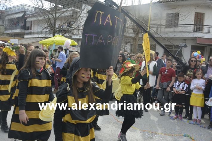 alexandriamou.gr_meliki192132