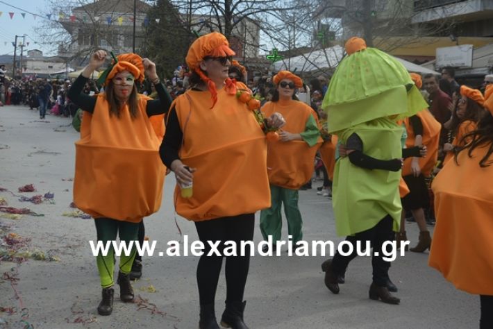 alexandriamou.gr_meliki192204