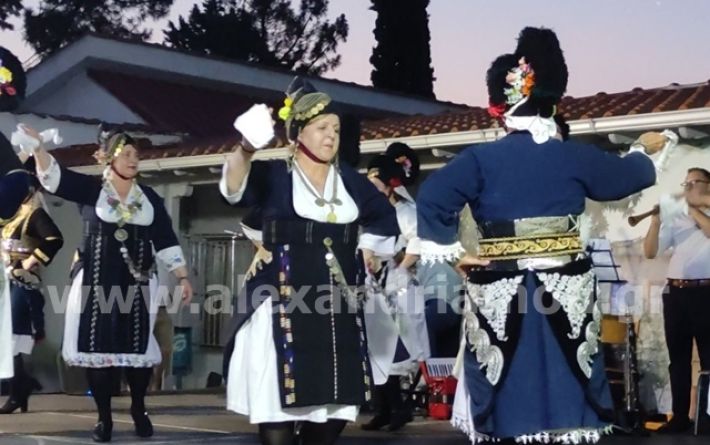 alexandriamou.gr_meliki_pefkaditika19.6005