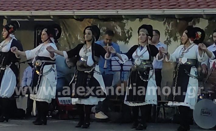 alexandriamou.gr_meliki_pefkaditika19.6008