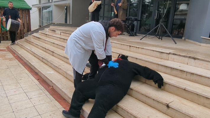 PXL_20260106_112511041