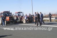 alexandriamou_mploko_agrotes_nhseli60