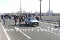 alexandriamou_MPLOKO_NHSELI32