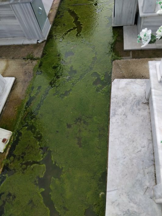 620589208_1292923775964007_6155525530419219688_n