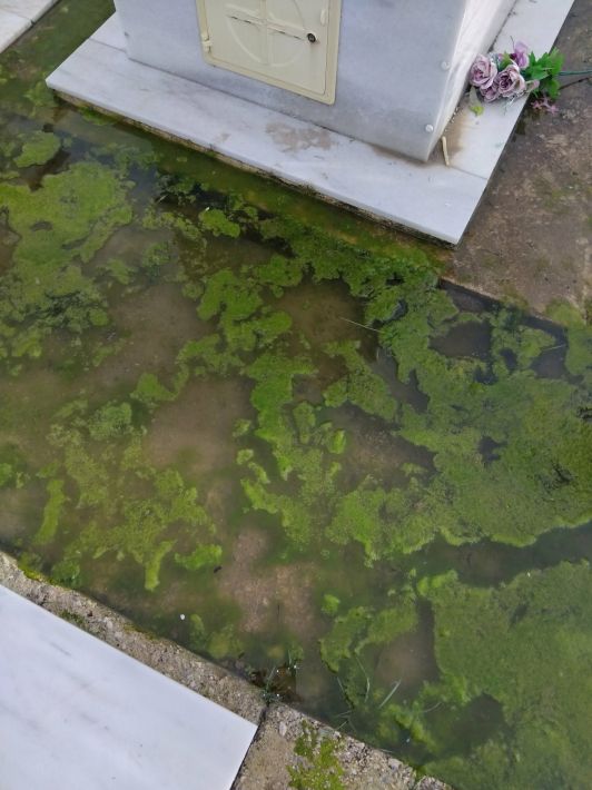 628190168_1258583686146417_839657709046689448_n