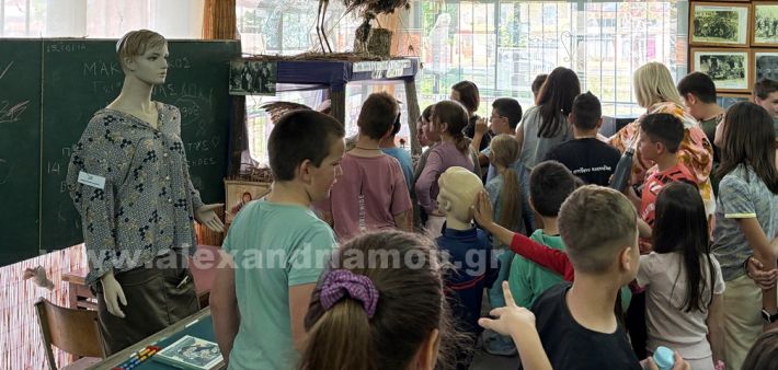 www.alexandriamou.gr_nisi_mouseio29.5.25IMG_4167