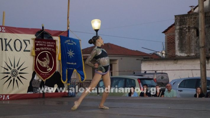 www.alexandriamou.gr_nissi_panhgyrikes_ekdiloseis_xoreftika29.6.25DSC03029