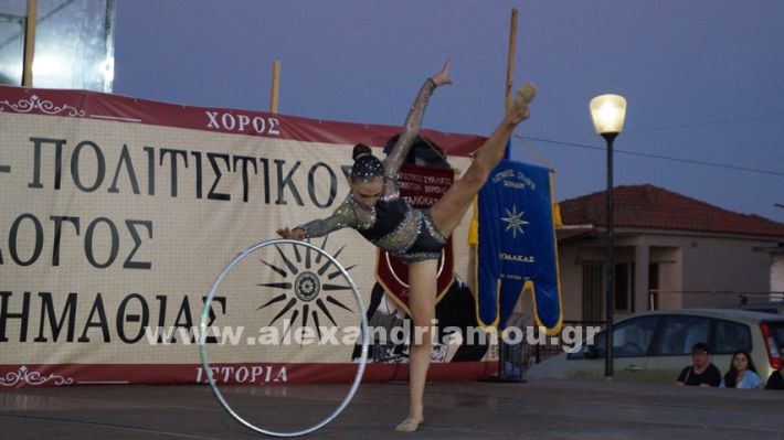 www.alexandriamou.gr_nissi_panhgyrikes_ekdiloseis_xoreftika29.6.25DSC03035