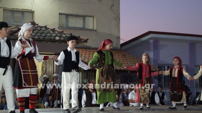 www.alexandriamou.gr_nissi_panhgyrikes_ekdiloseis_xoreftika29.6.25DSC03056