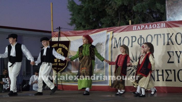 www.alexandriamou.gr_nissi_panhgyrikes_ekdiloseis_xoreftika29.6.25DSC03063