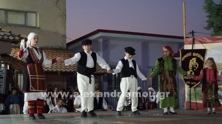 www.alexandriamou.gr_nissi_panhgyrikes_ekdiloseis_xoreftika29.6.25DSC03066