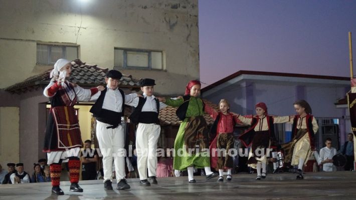 www.alexandriamou.gr_nissi_panhgyrikes_ekdiloseis_xoreftika29.6.25DSC03067