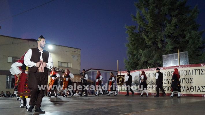 www.alexandriamou.gr_nissi_panhgyrikes_ekdiloseis_xoreftika29.6.25DSC03075